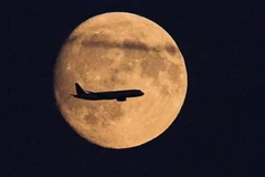 Những chuyến bay, kể cả hạ cánh, từ 11 giờ đêm tới 5 giờ sáng sẽ bị cấm ở sân bay Frankfurt do phàn nàn của người dân địa phương. (Nguồn: AFP)