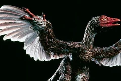 Giới khoa học cũng “đùa” trong ngày Cá tháng Tư