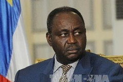 Cộng hòa Trung Phi đã lâm vào bất ổn kể từ khi phiến quân Seleka lật đổ Tổng thống Francois Bozize 4 tháng trước (Nguồn: AFP/TTXVN)