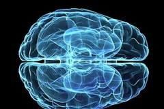 Dự án não người nhân tạo nhận tài trợ 2 tỷ euro