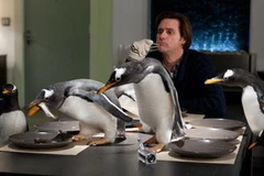 Những chú chim cánh cụt đã làm đảo lộn cuộc sống của Mr.Popper (Nguồn: MS)