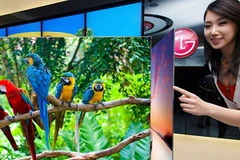 Sản phẩm của LG tại CES 2012 (Nguồn: AFP)