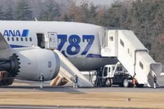 Nhật ngừng sử bay Dreamliner sau hàng loạt sự cố
