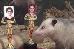 Heidi đã chọn Natalie Portman làm Nữ diễn viên chính xuất sắc nhất (Nguồn: ABC).
