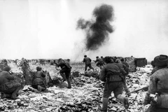Nga sẽ khôi phục tên Stalingrad 6 ngày mỗi năm