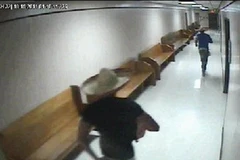 Camera quan sát ghi lại cảnh những người đàn ông đột nhập vào tòa án (Nguồn: AP)