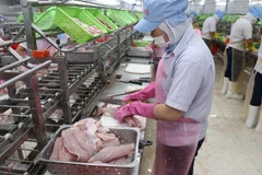 Công nhân nhà máy GODACO tại Khu Công nghiệp Mỹ Tho đang làm đơn hàng cá tra xuất khẩu. (Ảnh: Minh Hưng/TTXVN)