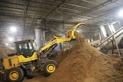 Cơ sở sản xuất viên nén gỗ Tịnh Tâm ở xã Yên Ninh, huyện Phú Lương, Thái Nguyên mỗi tháng xuất khẩu sang thị trường Hàn Quốc khoảng 700 tấn sản phẩm. (Ảnh: Vũ Sinh/TTXVN)