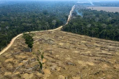 Khoảng rừng Amazon bị đốt phá tại Porto Velho, bang Rondonia, Brazil. (Ảnh: AFP/TTXVN)