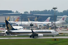 Máy bay của hãng hàng không Singapore Airlines tại sân bay Changi ở Singapore. (Ảnh: AFP/TTXVN)