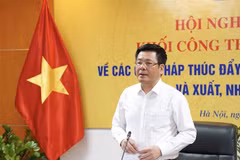 Bộ trưởng Bộ Công Thương Nguyễn Hồng Diên. (Ảnh: TTXVN phát)