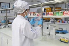 Sản phẩm sữa chua uống men sống được Vinamilk phát triển cho thị trường New Zealand đáp ứng các yêu cầu về “tính xanh, bền vững”. (Nguồn: Vietnam+)