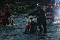 (Ảnh minh họa: TTXVN phát)