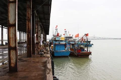 Cảng cá Xuân Hội, Hà Tĩnh. (Ảnh minh họa: Hữu Quyết/TTXVN)