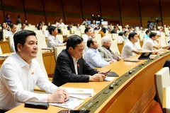 Các đại biểu tham dự phiên họp. (Ảnh: Minh Đức/TTXVN)