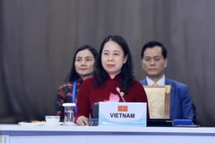 Phó Chủ tịch nước Võ Thị Ánh Xuân phát biểu tại phiên khai mạc hội nghị. (Ảnh: Lâm Khánh/TTXVN)