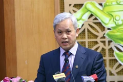 Tổng cục Trưởng Tổng cục Thống kê Nguyễn Bích Lâm. (Ảnh: Danh Lam/TTXVN)