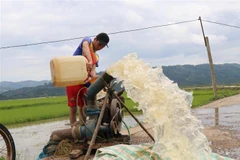 Người dân nỗ lực bơm nước ra khỏi đồng ruộng để chống úng. (Ảnh: Tuấn Anh/TTXVN)