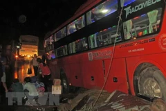 (Ảnh minh họa. Nguyễn Dũng/TTXVN)