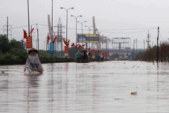 Ảnh minh họa. (Nguồn: TTXVN)