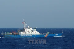 Ảnh minh họa. (Nguồn: TTXVN)