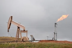 Hệ thống khai thác dầu mỏ gần Williston, North Dakota, Mỹ. (Nguồn: AFP/TTXVN)