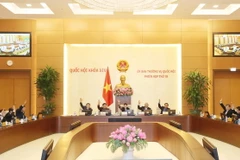 Các đại biểu biểu quyết về việc bổ sung kinh phí mua bù gạo dự trữ quốc gia. (Ảnh: Trọng Đức/TTXVN)