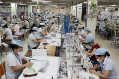 Ảnh chỉ có tính minh họa. (Ảnh: Trần Việt/TTXVN)