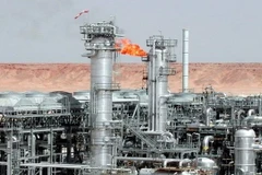 Ảnh chỉ có tính minh họa. (Nguồn: embassyofalgeria-rsa.org)