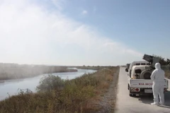 Nhân viên y tế phun thuốc khử trùng nhằm ngăn chặn sự lây lan của cúm gia cầm tại Seosan, Hàn Quốc. (Nguồn: Yonhap/TTXVN)