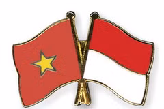 Vai trò của các tổ chức trong thúc đẩy hợp tác Việt Nam-Indonesia