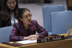 Đại sứ Nguyễn Phương Nga. (Ảnh: Nguyễn Hữu Hoàng/TTXVN)