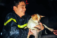 [Photo] Cận cảnh vụ dập đám cháy trên đường Đê La Thành