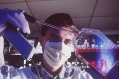 Ảnh minh họa. (Nguồn: irishtimes)