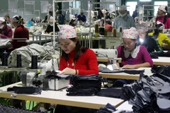 Doanh nghiệp may mặc Việt Nam. (Ảnh: Tá Chuyên/TTXVN)