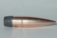 Ảnh minh họa. (Nguồn: wikipedia.org)