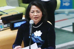 Phó Chủ tịch nước Đặng Thị Ngọc Thịnh phát biểu tại phiên họp. (Ảnh: Lâm Khánh/TTXVN)