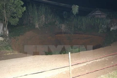 (Ảnh: Bùi Đức Hiếu/TTXVN)