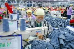 Việt Nam thuộc nhóm các nước chủ yếu xuất khẩu sang Ukraine các mặt hàng tiêu dùng. (Ảnh: Danh Lam/TTXVN)