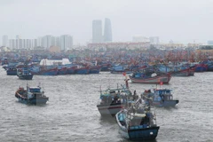 (Ảnh: Văn Sơn/TTXVN)