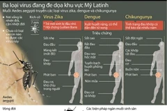 [Infographics] Ba loại virus đang đe dọa khu vực Mỹ Latinh