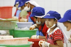 Lao động nhập cư ở Thái Lan. (Nguồn: samuitimes.com)