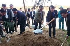 Ông Hoàng Trung Hải và lãnh đạo UBND thành phố Hà Nội, lãnh đạo huyện Phú Xuyên trồng cây đầu năm. (Ảnh: Nguyễn Văn Cảnh/TTXVN) 