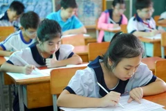 Học sinh tiểu học. (Ảnh: Mạnh Linh/TTXVN)