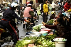 (Ảnh: Đình Huệ/TTXVN)