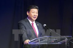 Chủ tịch Trung Quốc Tập Cận Bình. (Nguồn: THX/TTXVN)