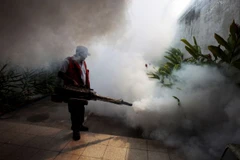 Phun thuốc diệt muỗi Aedes truyền bệnh bệnh. (Nguồn: ibtimes)
