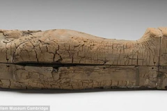 Cỗ qua tài đựng xác ướp trẻ nhất lịch sử. (Nguồn: DM)