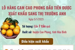 [Infographics] Xuất khẩu gần 7 tấn cam Cao Phong đầu tiên sang Anh