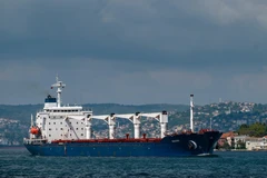 Nga phát hiện dấu vết thuốc nổ trên tàu chở ngũ cốc nước ngoài